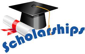 Information about Penguin Scholarship Program for the academic year 2021-2022